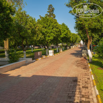 фото из отзыва ID 2614612