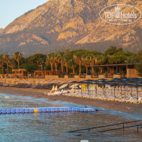 фото из отзыва ID 2614612