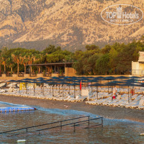 фото из отзыва ID 2614612