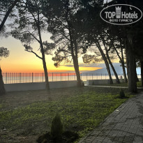 фото из отзыва ID 2616843