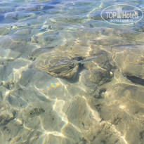 фото из отзыва ID 2616854