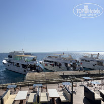 фото из отзыва ID 2616890