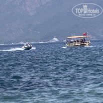 фото из отзыва ID 2616948