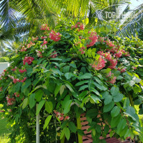 фото из отзыва ID 2617006