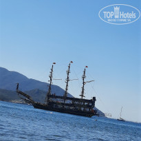 фото из отзыва ID 2617020