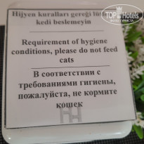 фото из отзыва ID 2617020