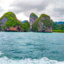 фото из отзыва ID 2617055