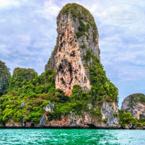 фото из отзыва ID 2617055