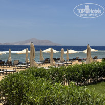 фото из отзыва ID 2617087