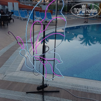 фото из отзыва ID 2617083