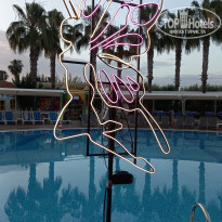 фото из отзыва ID 2617083