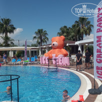 фото из отзыва ID 2617083