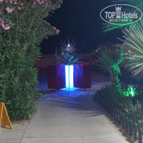 фото из отзыва ID 2617083