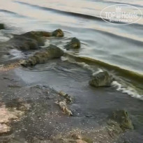 фото из отзыва ID 2616980