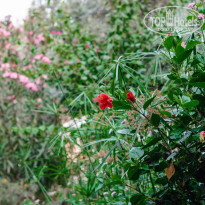 фото из отзыва ID 2610245