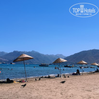 фото из отзыва ID 2617346