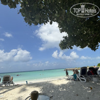 фото из отзыва ID 2617412