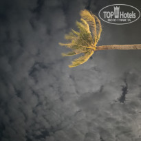 фото из отзыва ID 2617412