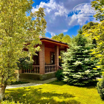 фото из отзыва ID 2617420