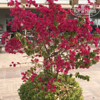 фото из отзыва ID 2617472