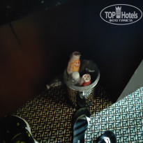 фото из отзыва ID 2617433