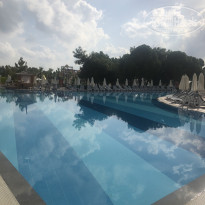 фото из отзыва ID 2617472