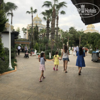 фото из отзыва ID 2617472