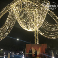 фото из отзыва ID 2617472