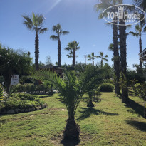 фото из отзыва ID 2617472