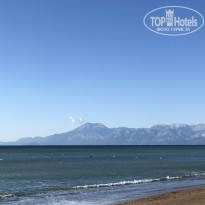 фото из отзыва ID 2617472