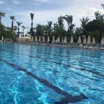 фото из отзыва ID 2617472