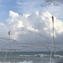 фото из отзыва ID 2617472