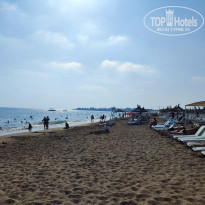 фото из отзыва ID 2617556