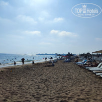 фото из отзыва ID 2617556