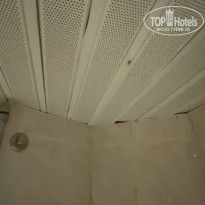 фото из отзыва ID 2617572