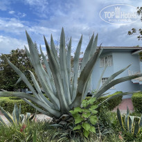 фото из отзыва ID 2617726