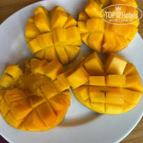 фото из отзыва ID 2618008