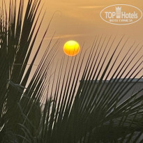 фото из отзыва ID 2618008