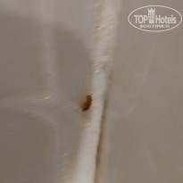 фото из отзыва ID 2618042