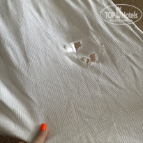 фото из отзыва ID 2618129