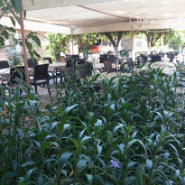 фото из отзыва ID 2618428