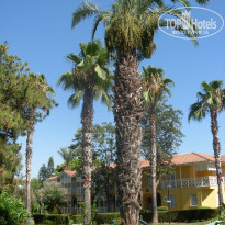 фото из отзыва ID 2618569