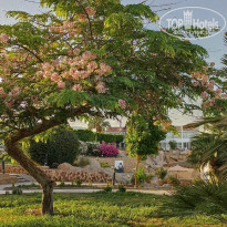 фото из отзыва ID 2617859