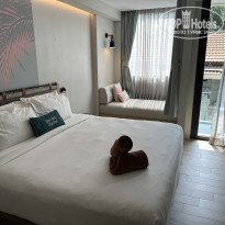 фото из отзыва ID 2618724