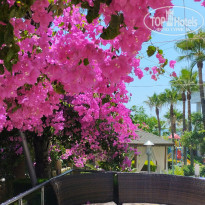 фото из отзыва ID 2618654