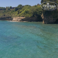 фото из отзыва ID 2618952