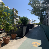 фото из отзыва ID 2619102