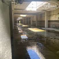 фото из отзыва ID 2619102