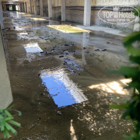 фото из отзыва ID 2619102