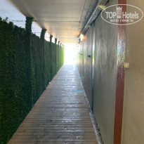 фото из отзыва ID 2619102